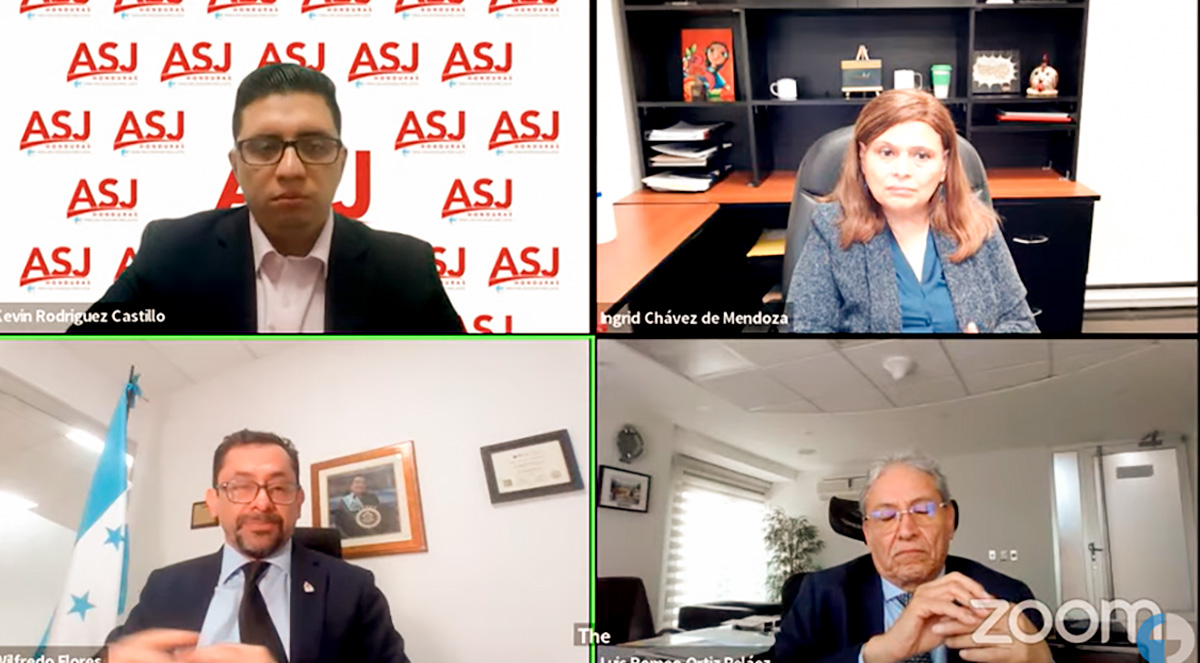 Imagen del zoom con los expertos en energia